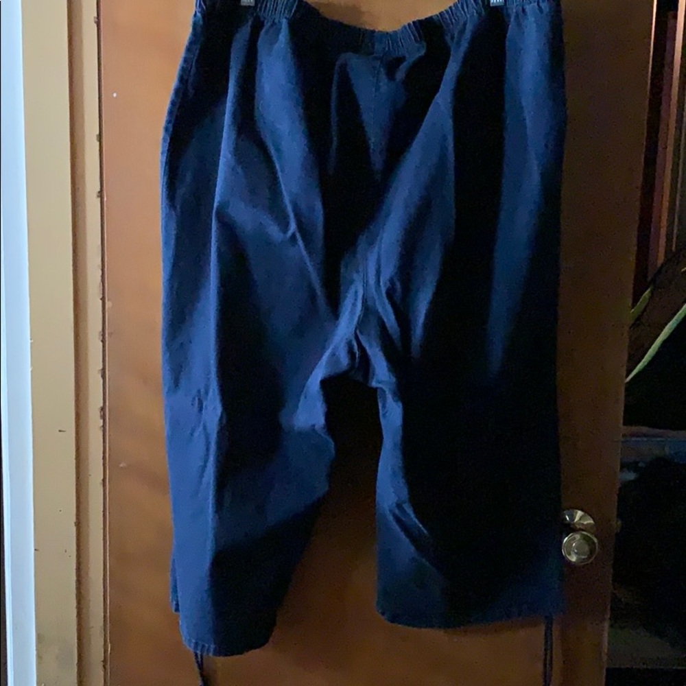 Capris - Picture 3 of 4